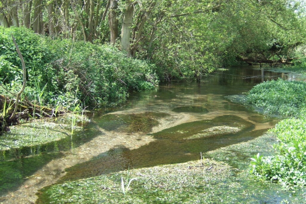 Met Office works with Anglian Water to strengthen drought resilience