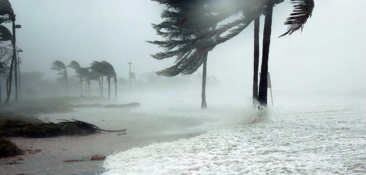 WMO Hurricane Committee retires Fiona and Ian Meteorological