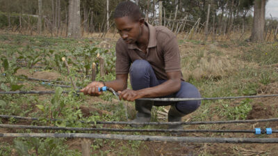 MIT develops low-cost, solar-powered irrigation tools for accessible precision agriculture