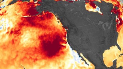 INSTAAR model predicts marine heat waves and extreme ocean acidity months in advance