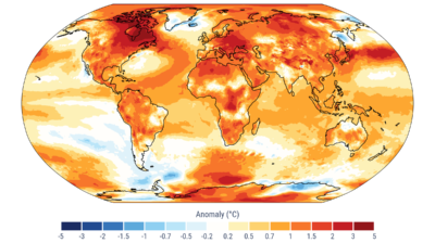 Copernicus confirms 2024 is first year to exceed 1.5°C above pre-industrial level