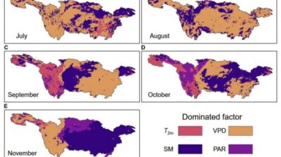 Researchers develop model to track drought effects in real time with satellites